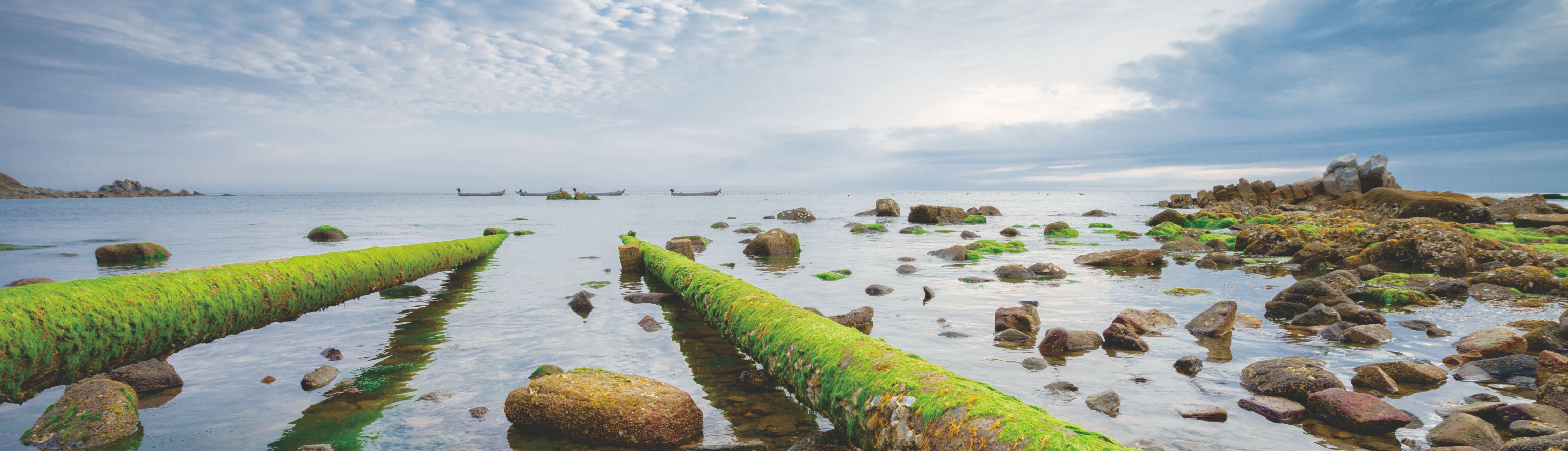 �й���������