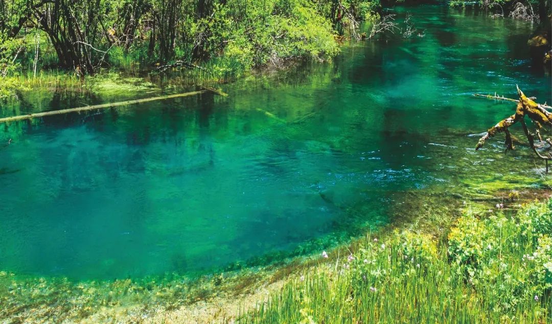 �й���������